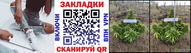Виды наркоты Краснокаменск КОКАИН  Конопля  МЕФ  ГАШИШ 