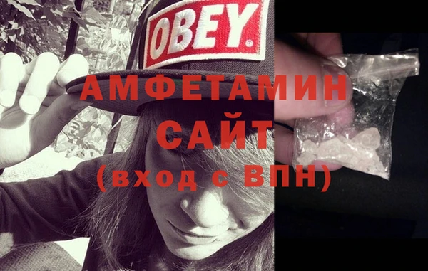 сатива Пересвет